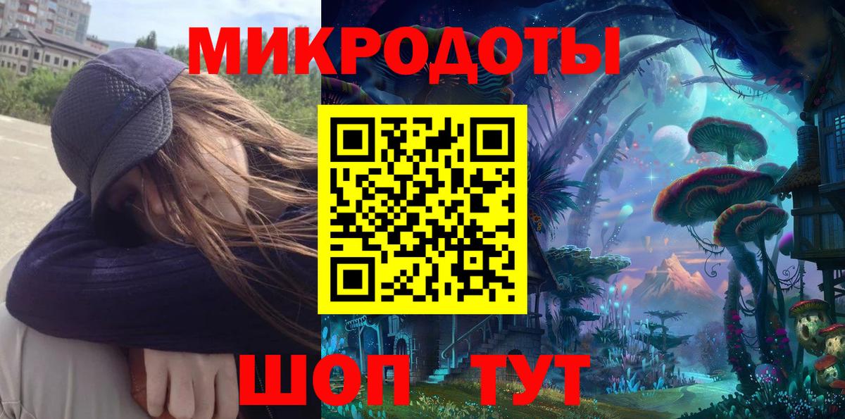 Галлюциногенные грибы Psilocybe Лениногорск
