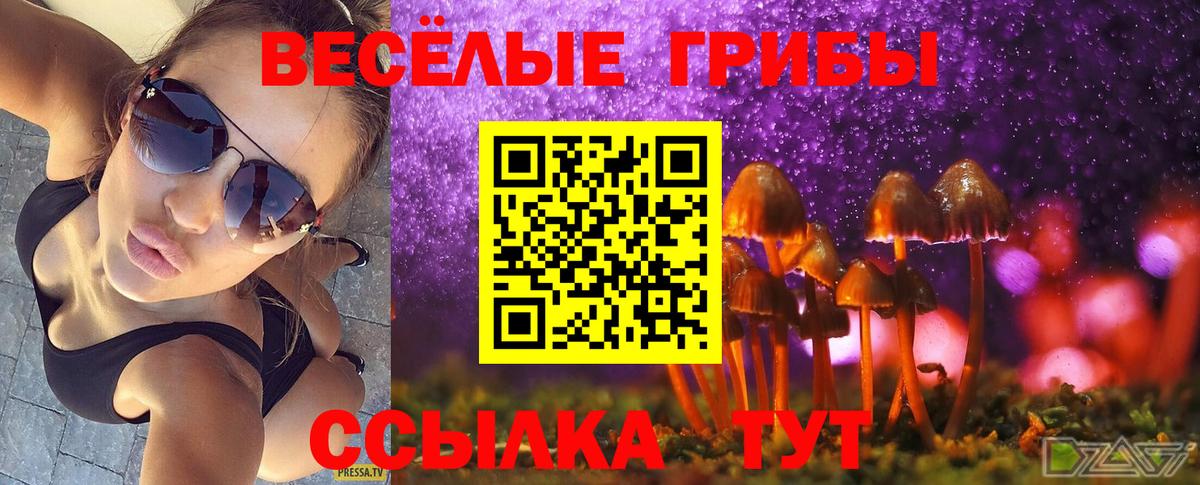 Лениногорск  Галлюциногенные грибы мицелий  Галлюциногенные грибы MAGIC MUSHROOMS  Вход с VPN 